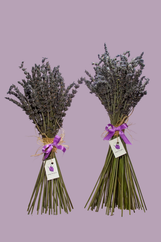 Flores secas de lavanda